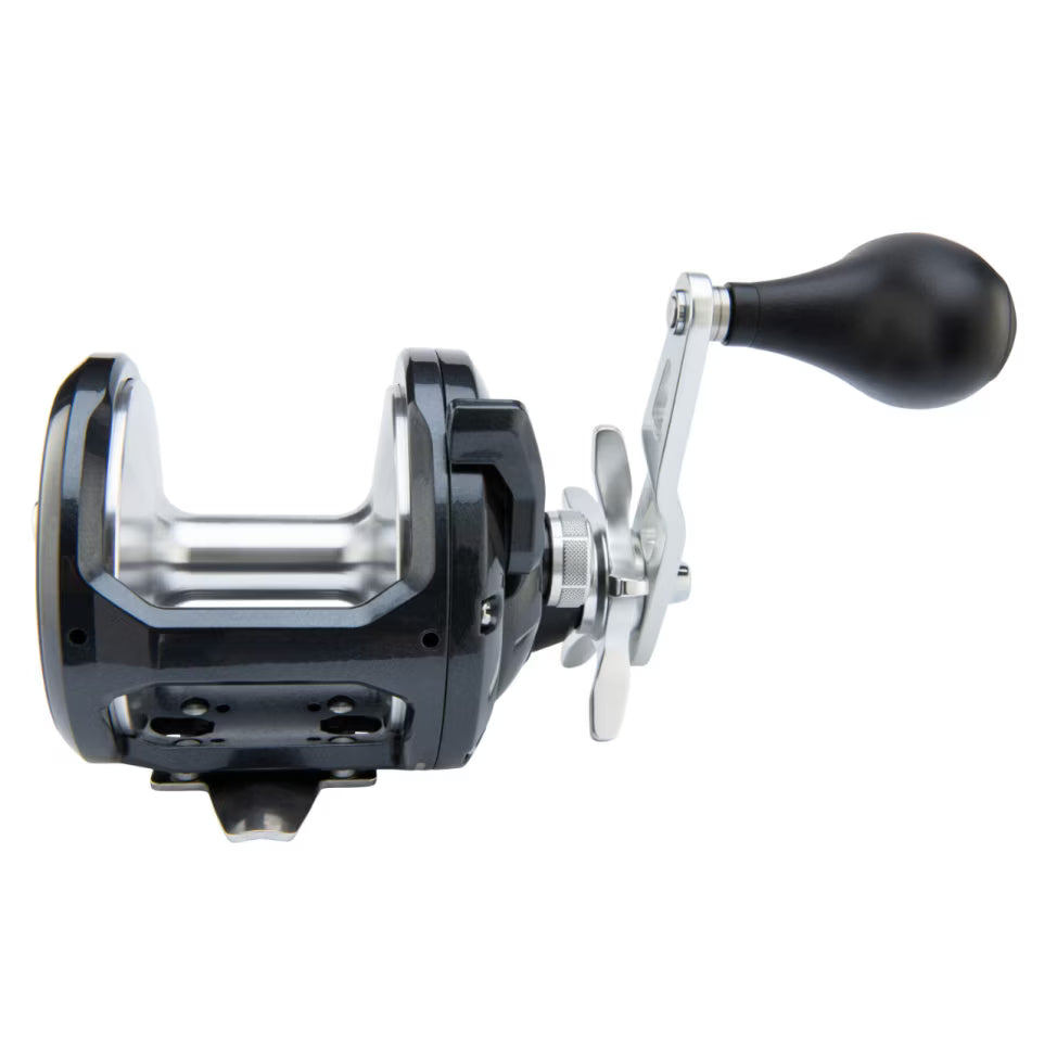 SHIMANO Torium Star Drag Reel