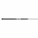 SHIMANO Teramar West Coast Spinning 10FT6IN Heavy