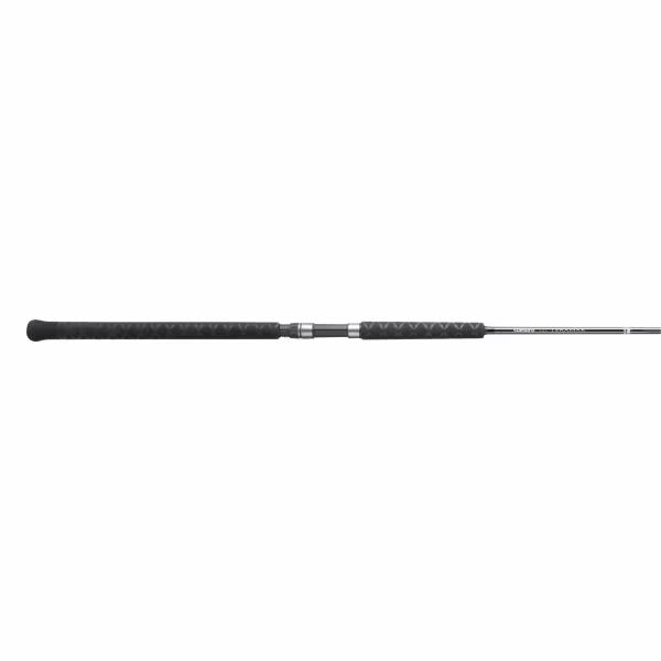 SHIMANO Teramar West Coast Spinning 10FT6IN Heavy