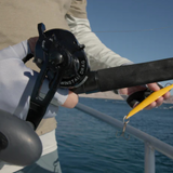Accurate Ascender Reel