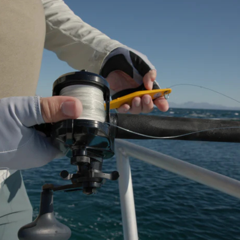 Accurate Ascender Reel