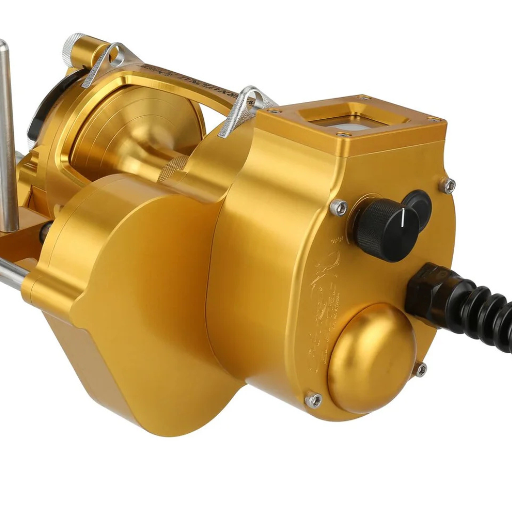 electric motor for fishing reel 1/2 HP sea species such as grouper PENN International VI Hooker Autostop