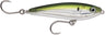 RAPALA X-Rap Saltwater SubWalk