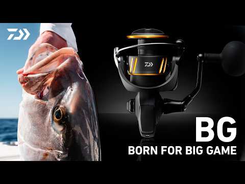 DAIWA BG SW Spinning Reel