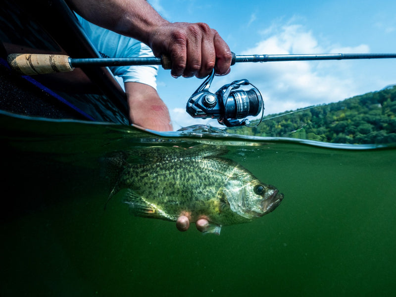 SHIMANO reels.  