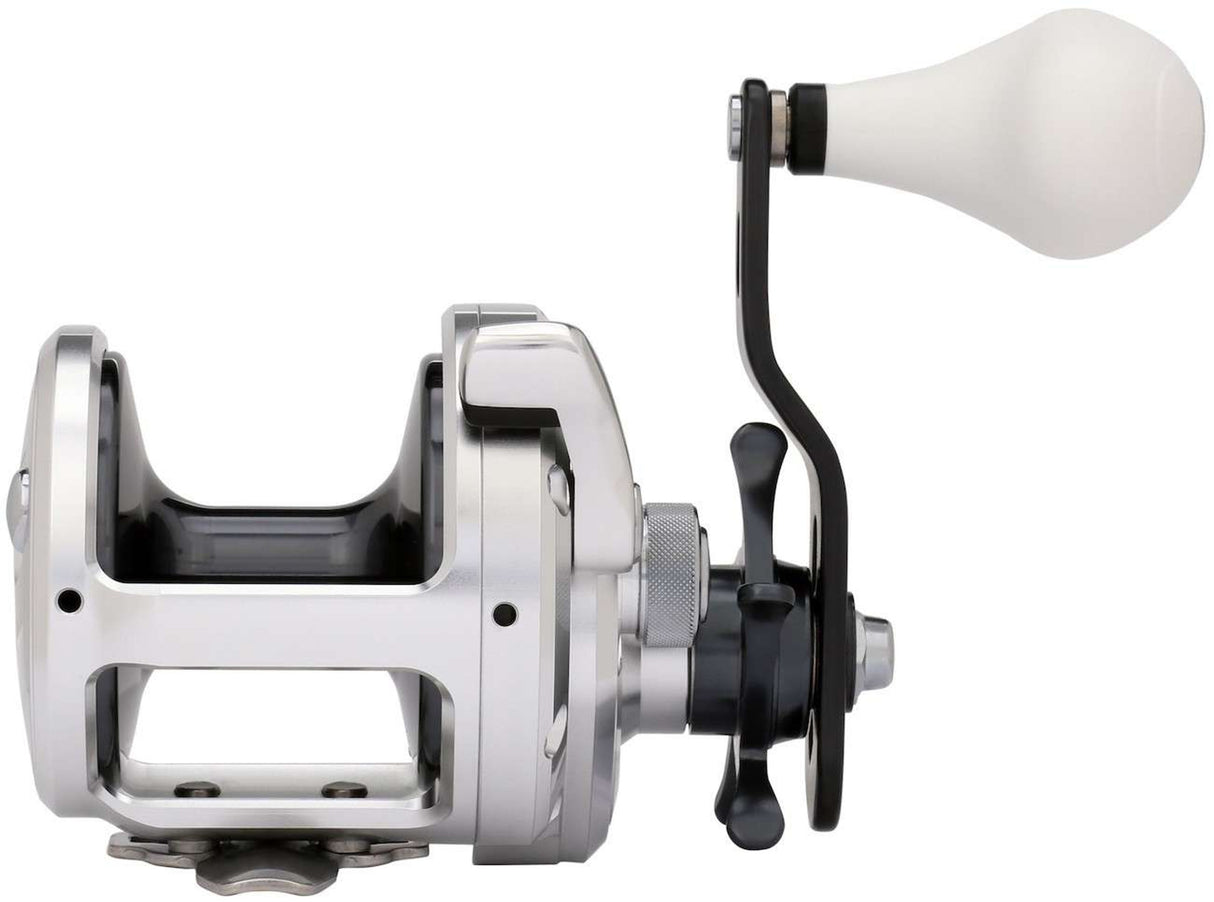 shimano tn20a trinidad a reel