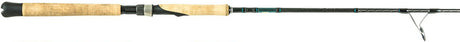 shimano txes70m teramar xx southeast spinning rod