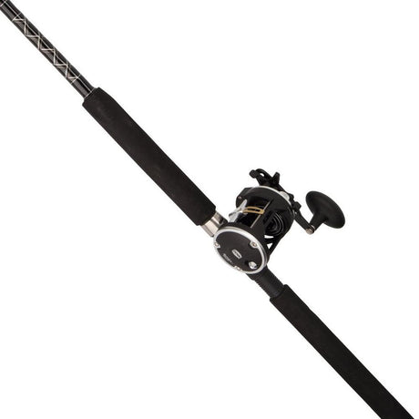 Penn Rival Level Wind Combo - 30LW 6FT6IN